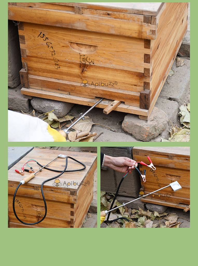 beehive maintenance - beekeeping mite treatment