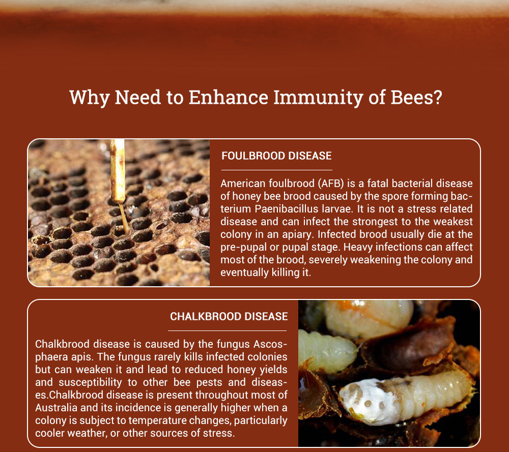 BEE-BESTIE - Microbiële voedingssupplementen voor honingbijen