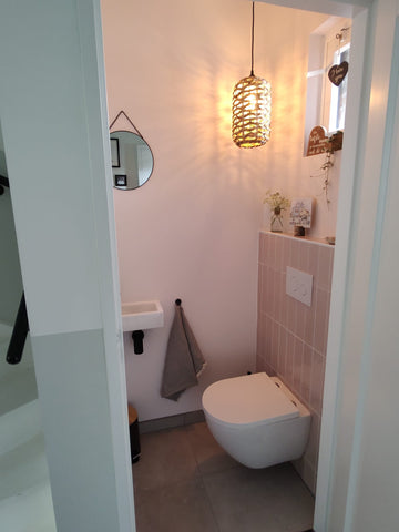 Toilet renovatie met Pleisterwerk, schilder en tegelwerkzaamheden