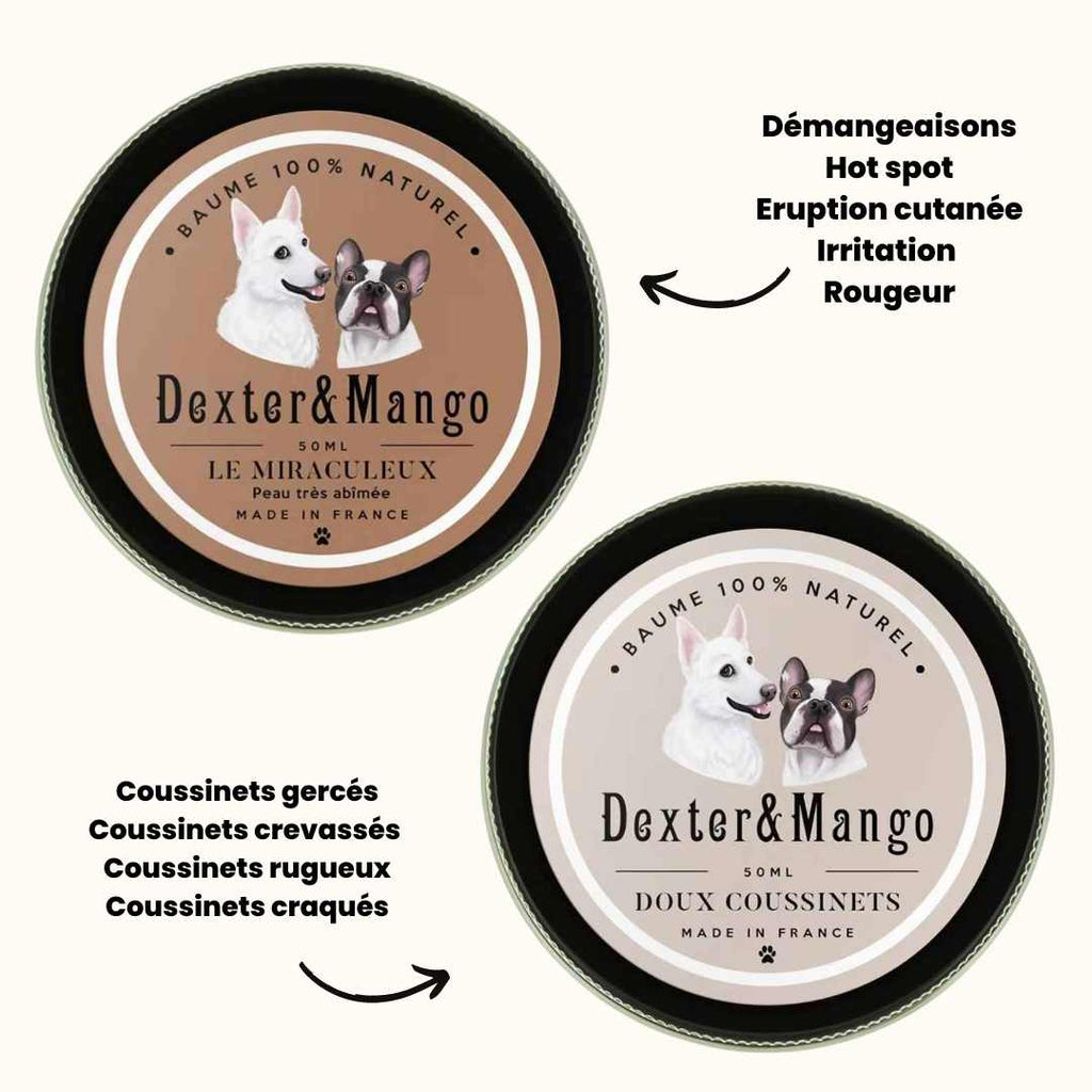 SEMINISMAR Baume Pattes Chien,Crème pour Les Coussinets des Chiens,Bio  baume Coussinet Chien,Crème baume pour Chien et Chat,Crème Naturelle  Coussinet