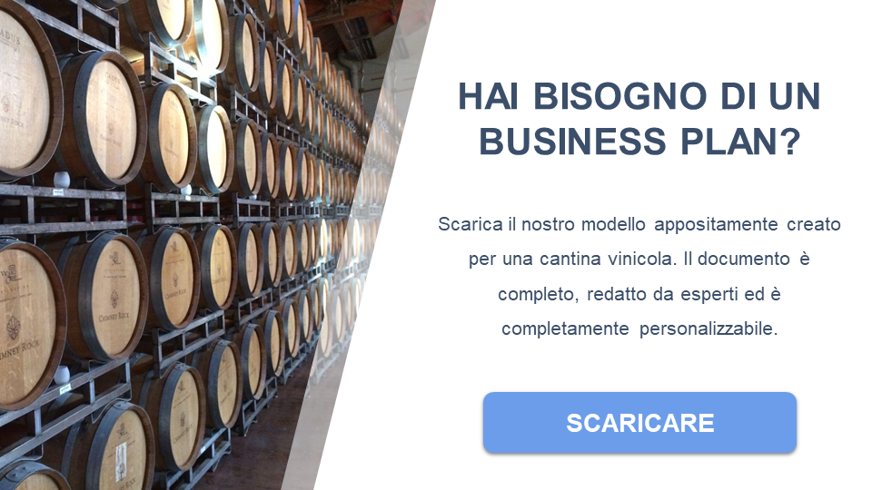 cantina vinicola  business plan gratuit ppt pdf word