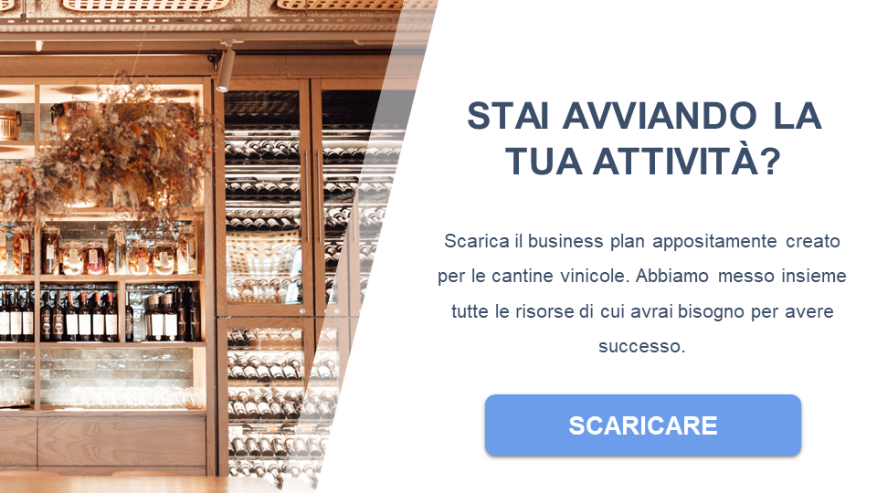 cantina vinicola  business plan gratuit ppt pdf word