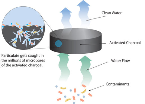 Activated carbon water filter remove