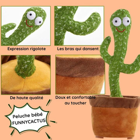 peluche bebe cactus