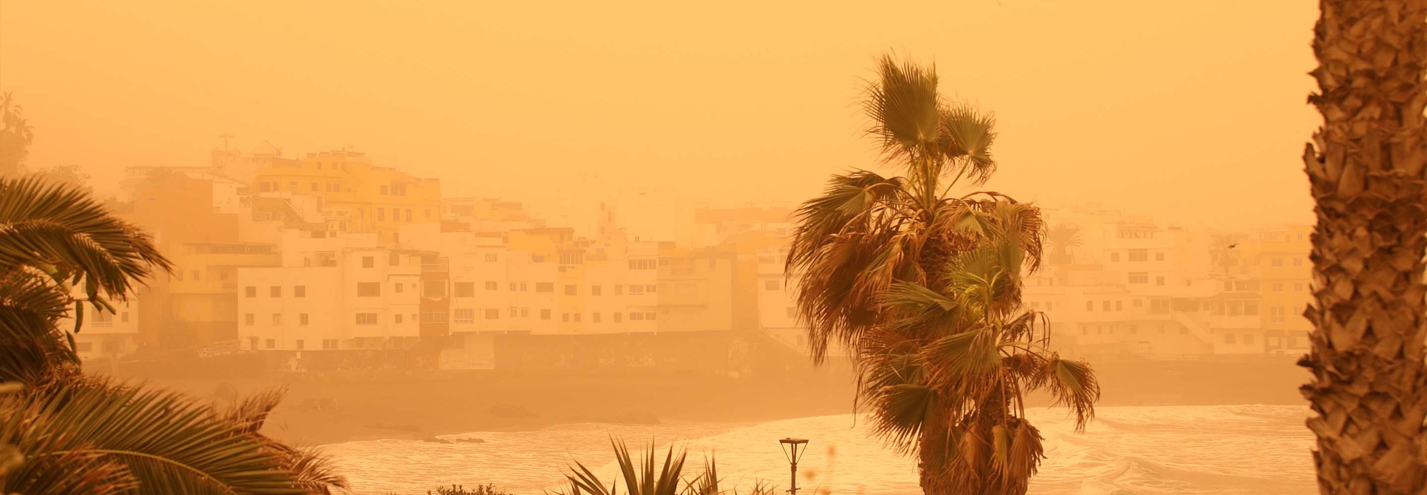 There is dust and sand blowing in the western UAE. Protect yourself from dust and sand and follow health recommendations. Click here.