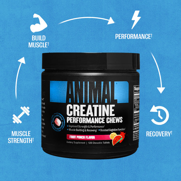 creatine2