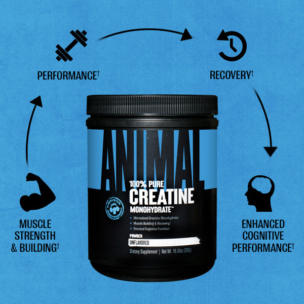 creatine1