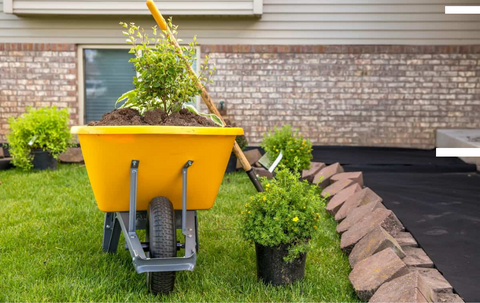 A yellow wheelbarrow filled with soil