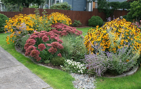 A yard filled with plants that help with flood control