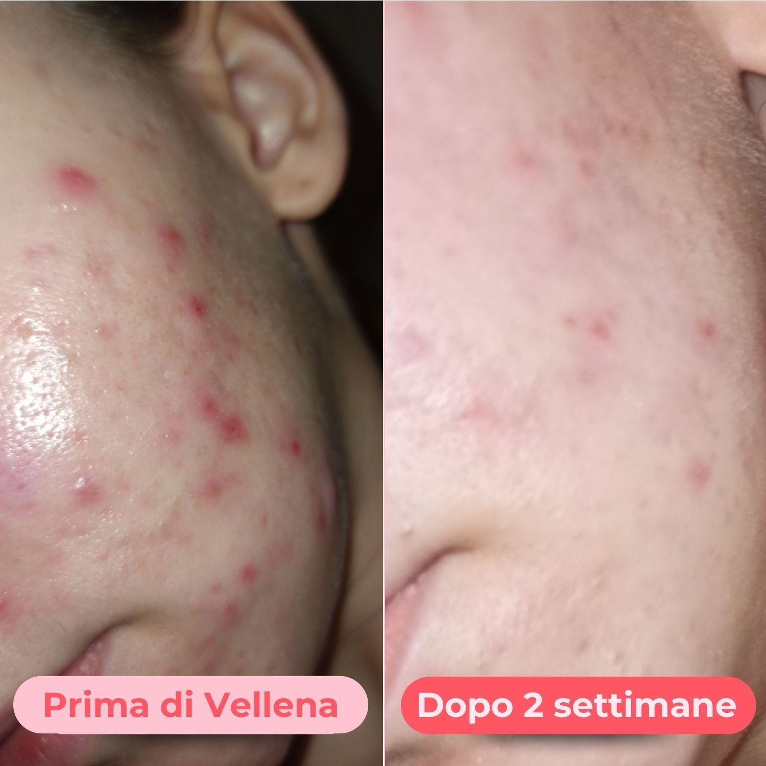 vellena premena