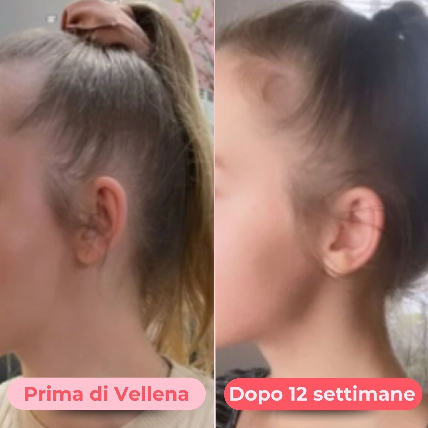 vellena premena