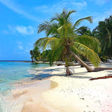 Caribbean beach scene