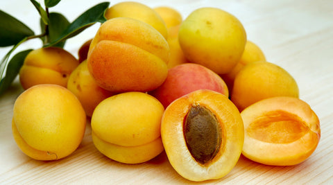 Apricot Kernel Oil