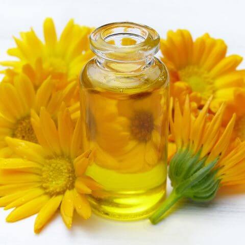 Calendula essential oil