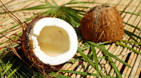 Coconut