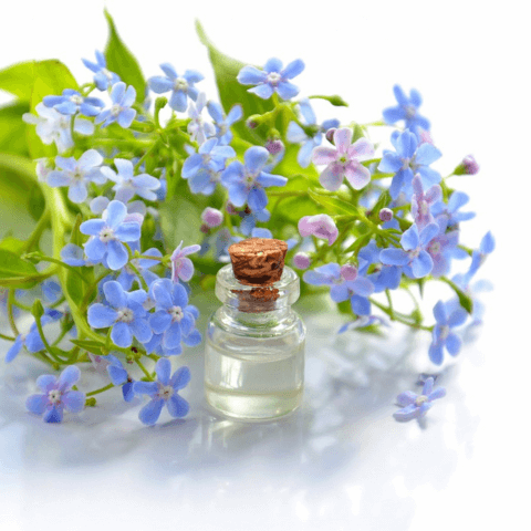 Blue flowers and essential oils