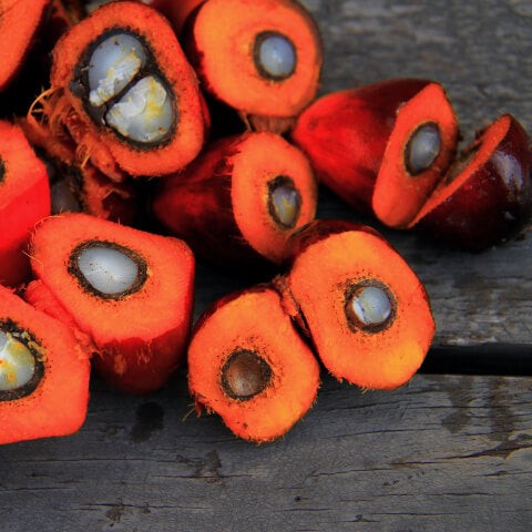 More palm oil fruit