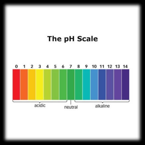 Image of the pH scale