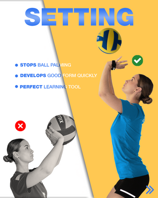 Regius® - Sporting Goods and Athletic Training Equipment