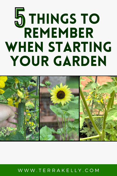 5 things to remember when starting your garden blog on terrakelly.com