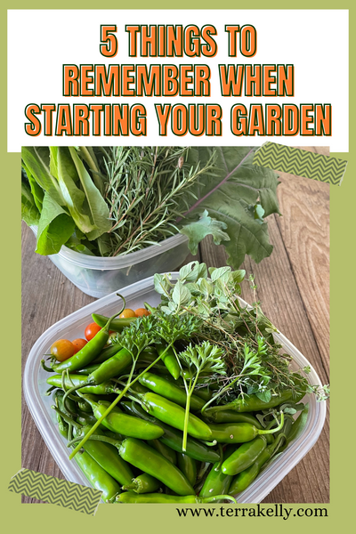 5 things to remember when starting your garden blog on terrakelly.com