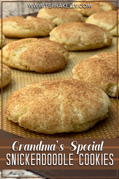 Grandmas Special Snickerdoodle Cookies on Cafe Terra Blog by Author Terra Kelly