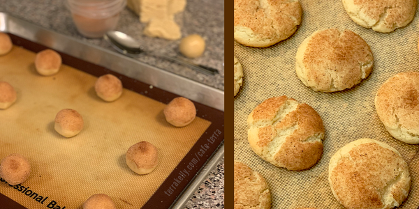 Grandmas Special Snickerdoodle Cookies on Cafe Terra Blog by Author Terra Kelly