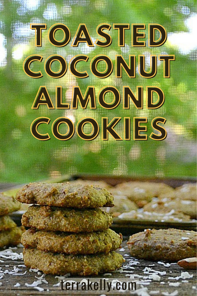 Toasted Coconut Almond Cookies on terrakelly.com