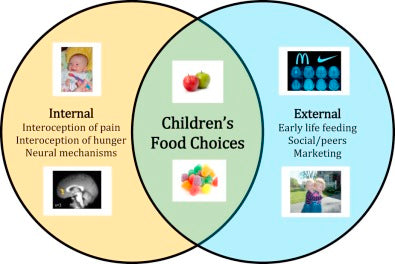 Which External Cues Influence Food Choices?