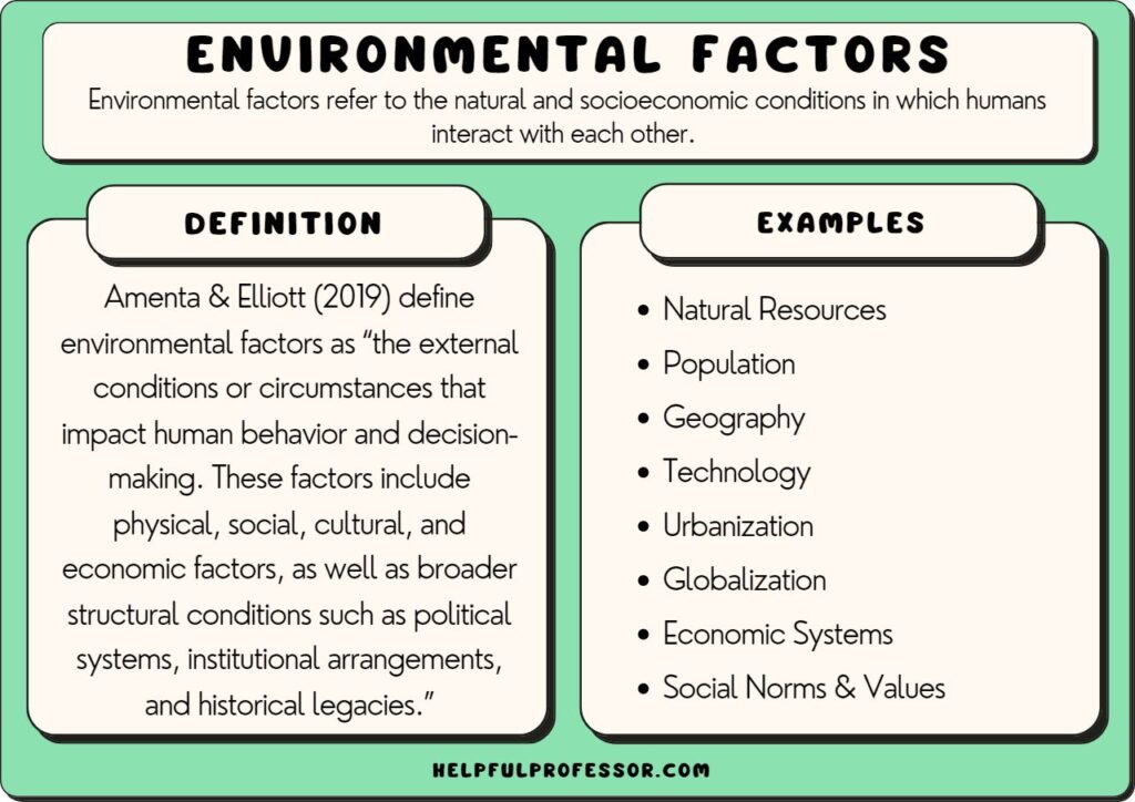 Cómo los factores ambientales dan forma a las diferencias individuales