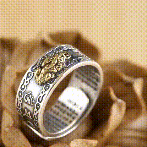 Adjustable Feng Shui Gold Plated Wealth Lucky Ring Jewelry` Buddhist B5I3 -  Walmart.com