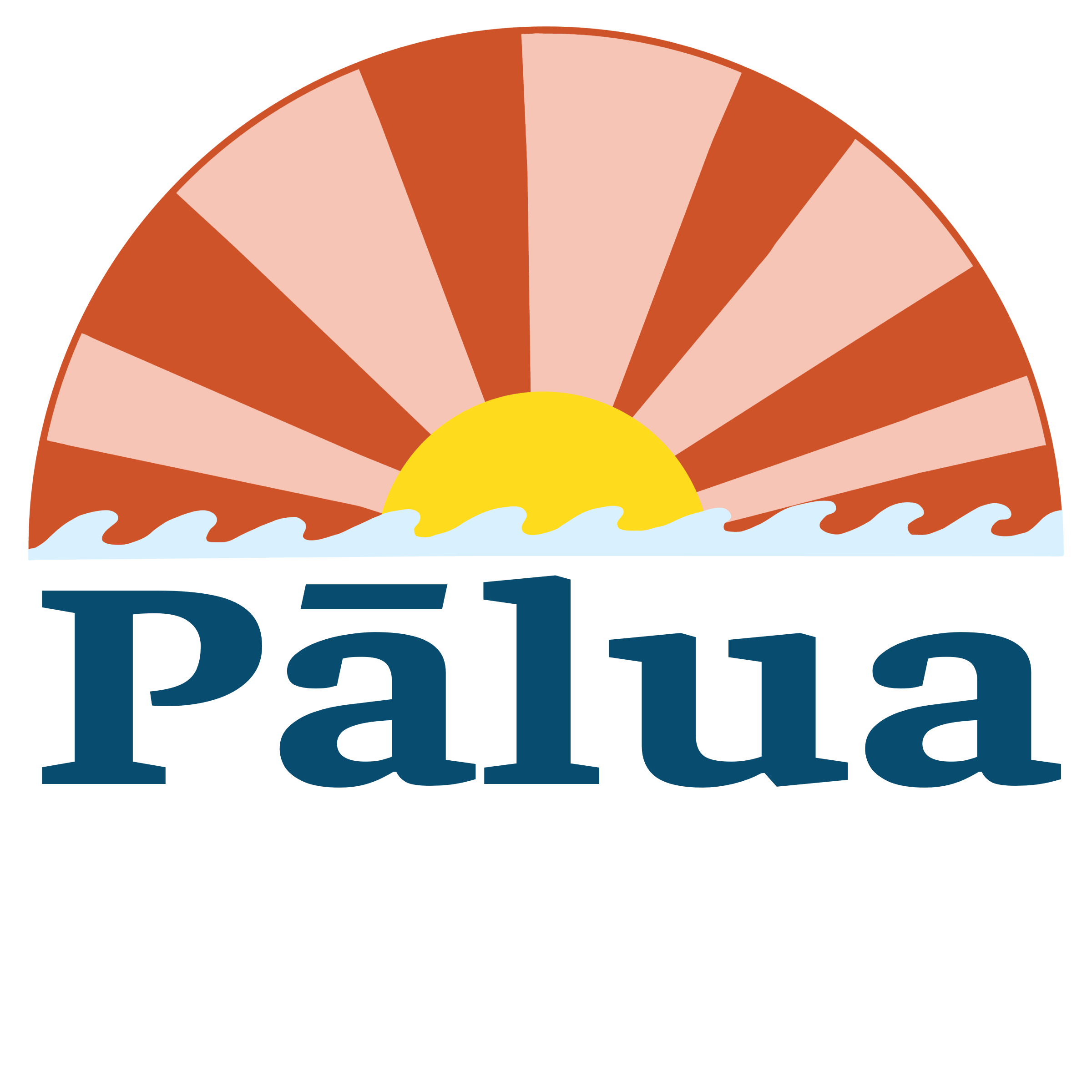 Pālua Surf Co.