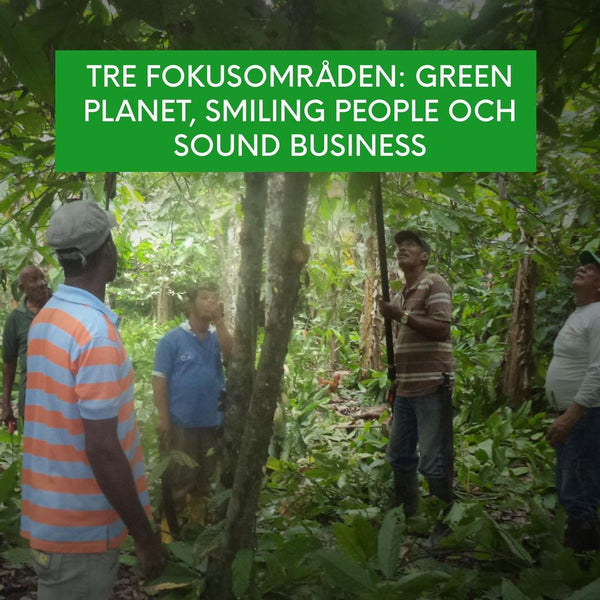 Tre fokusområden: green planet, smiling people och sound business. 