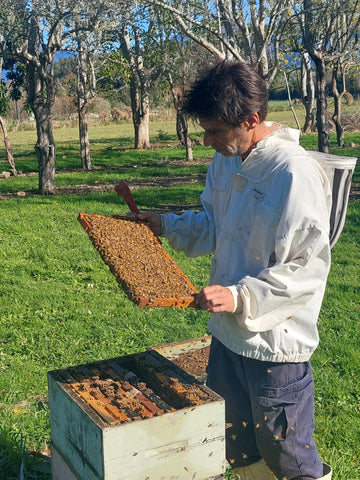 Raw Local Honey Making NZ