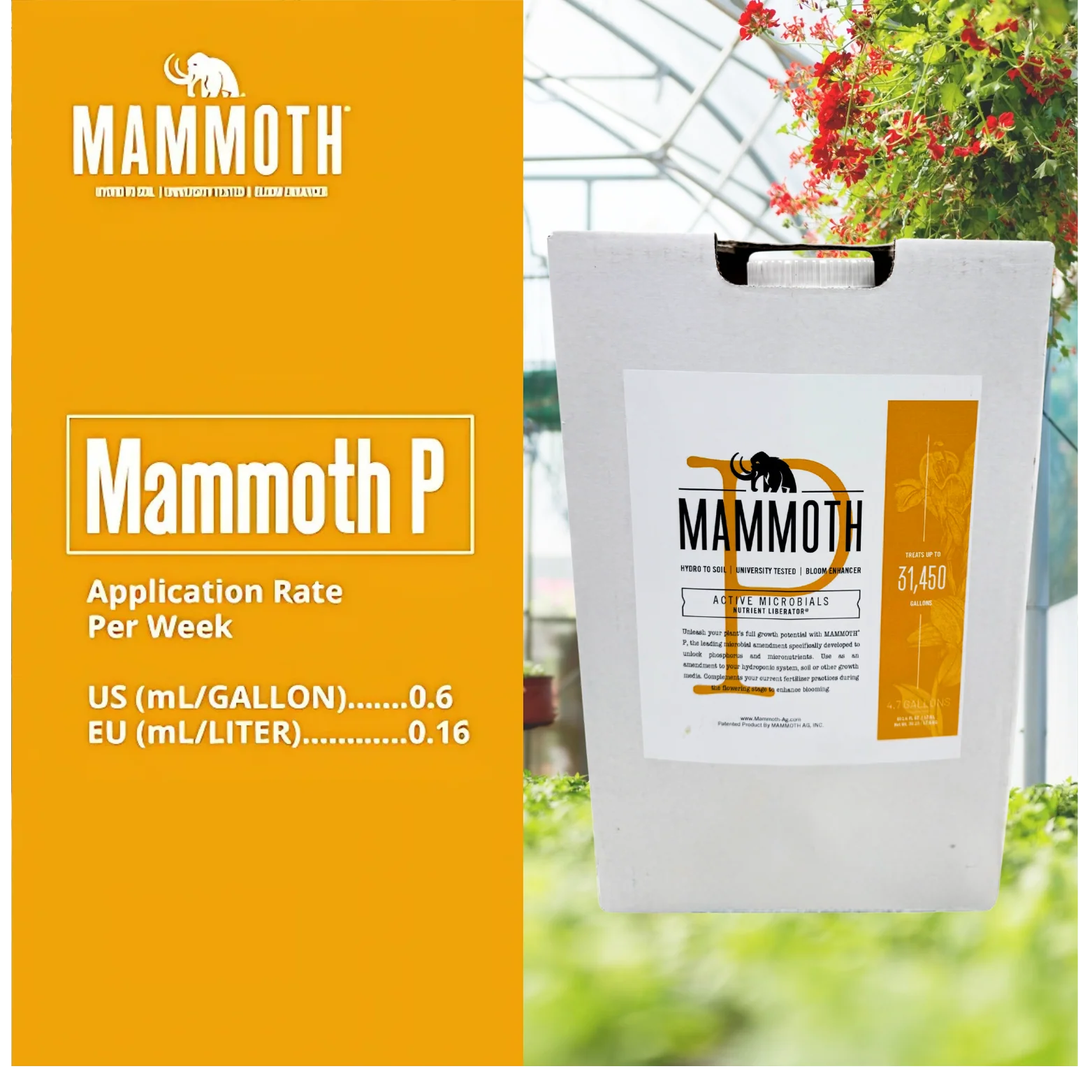 Mammoth P fertilizer packaging with application rate details on a yellow background