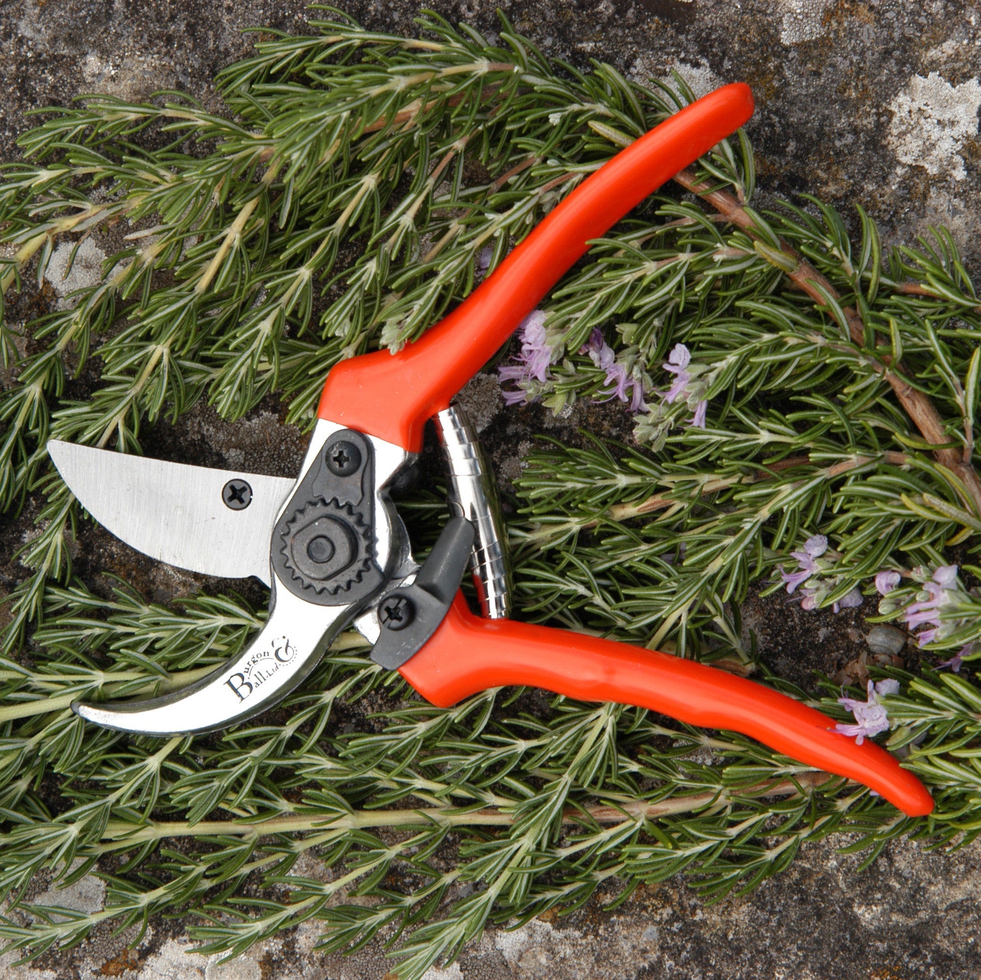 Bypass Secateurs - RHS Endorsed