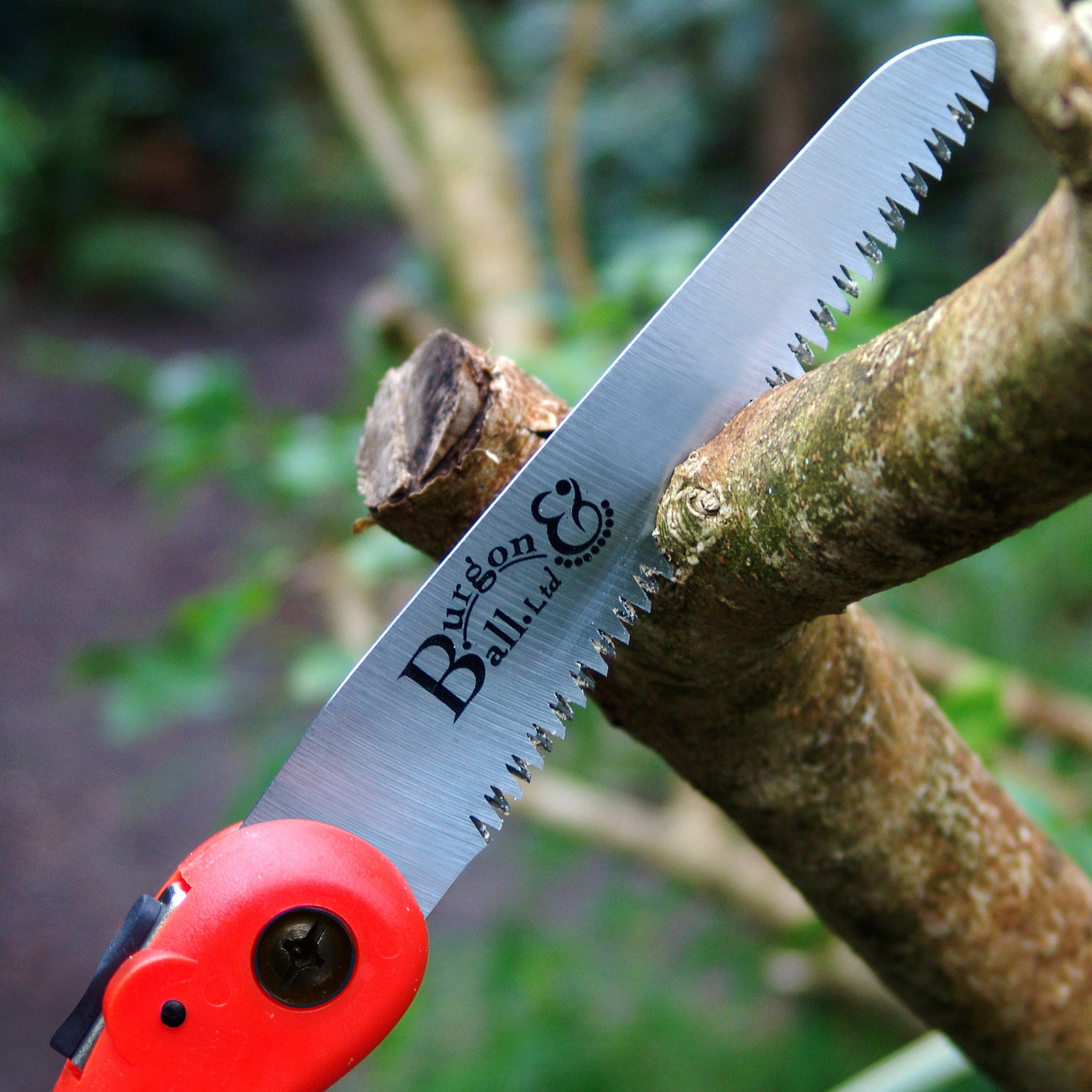 folding pruning saw - rhs endorsed
