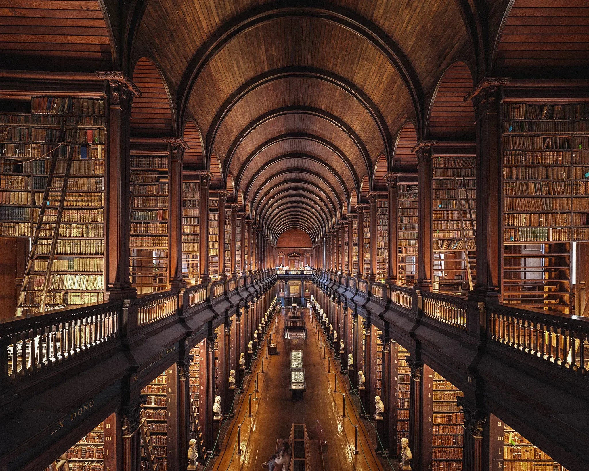 Image Credit: Trinity College Dublin