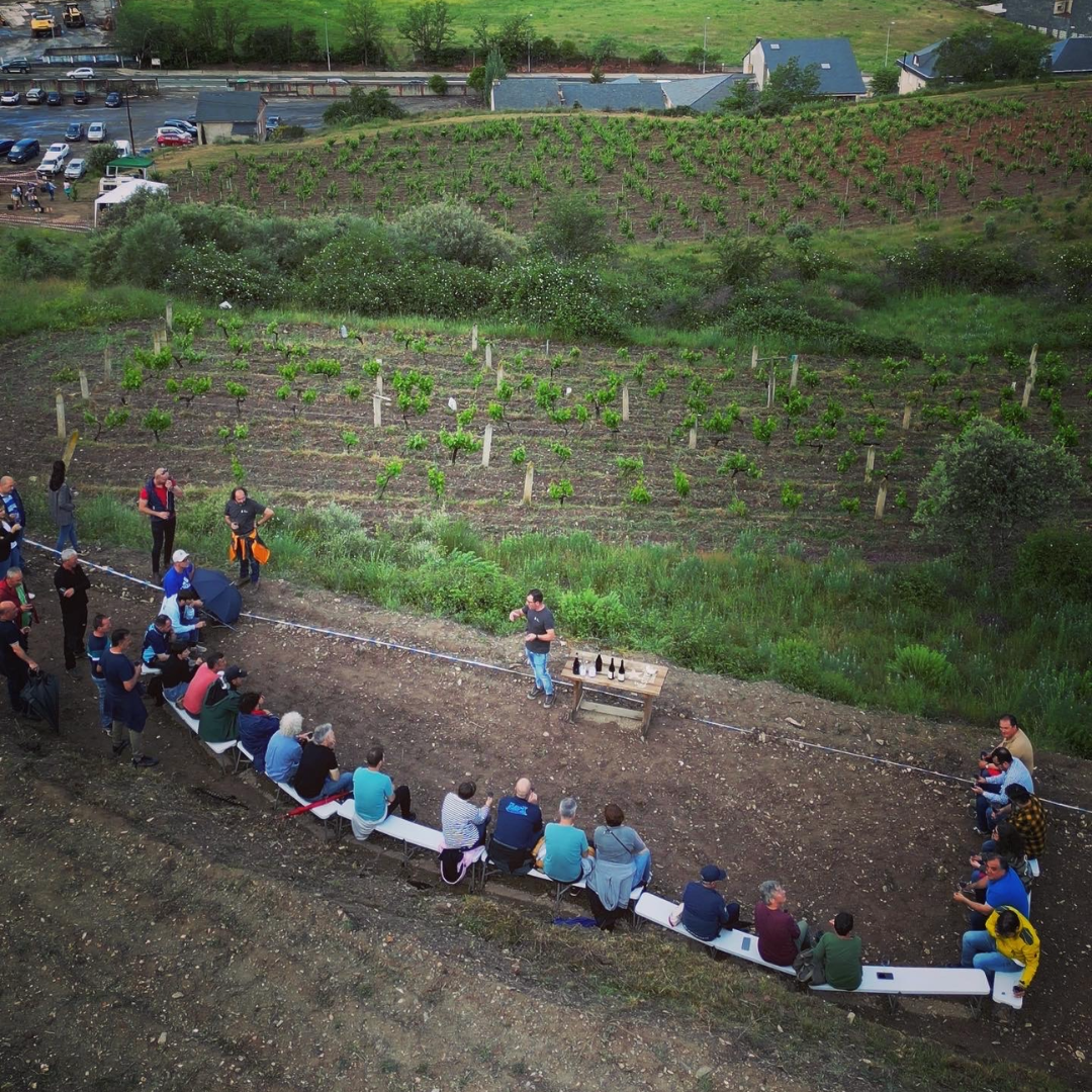 Festival de vino Vignerons