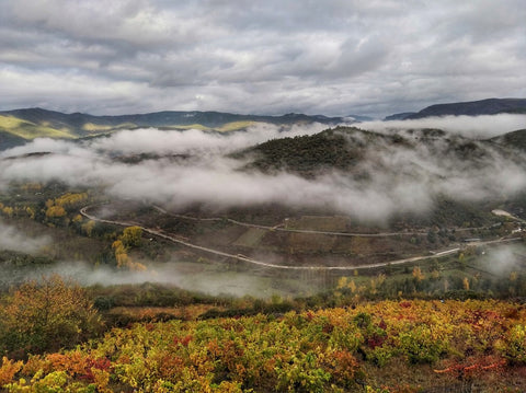 Image of a mountain vineyard with cold, cloudy and foggy weather in El Bierzo, Spain