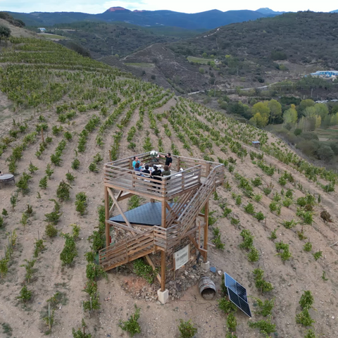 Wine tasting at Barreiros vineyard, planted in 1890 and recovered in 2015