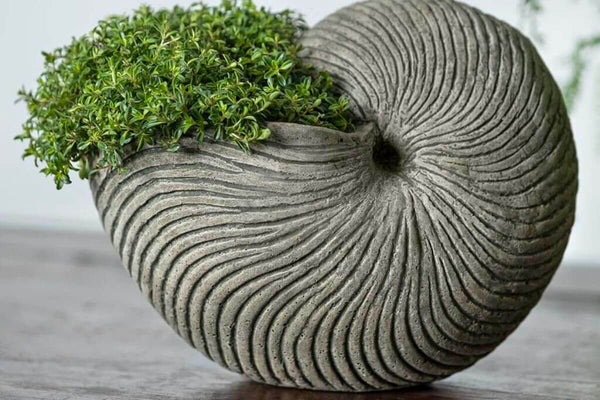 Ammonite Concrete Planter by Campania