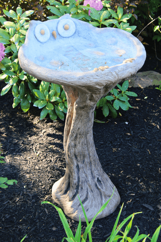 Owl Bird Bath