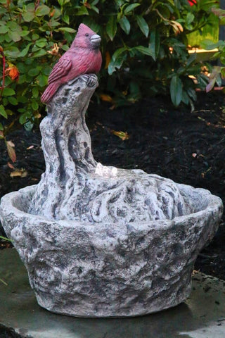 Cardinal Concrete Fountainette Parva by Massarelli's