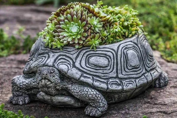 Small Turtle Concrete Planter by Campania