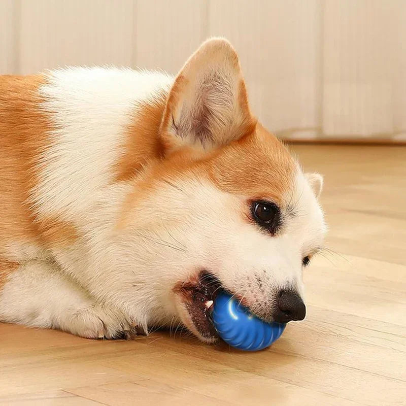 1pcs Automatic Moving Dog Toy Ball Smart USB Jumping Rotating Interactive Dog Chew Toy Ball for Puppy Ball Toys