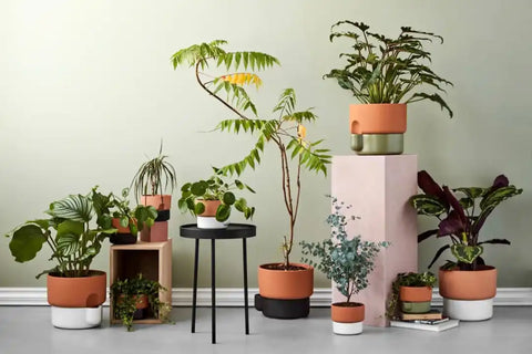 online self watering planters, best self watering pot, affordable self-watering planters, buy premium self watering planters