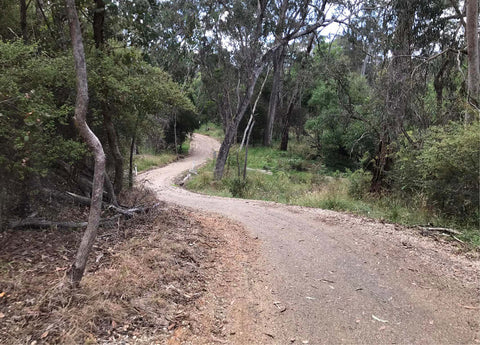 Andy's Victoria EBike Expedition | Electric Bikes Brisbane