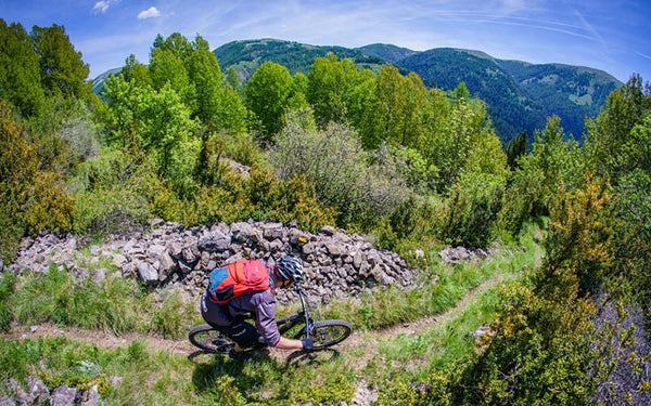 Rocky Mountain Altitude Powerplay C50 eMTB