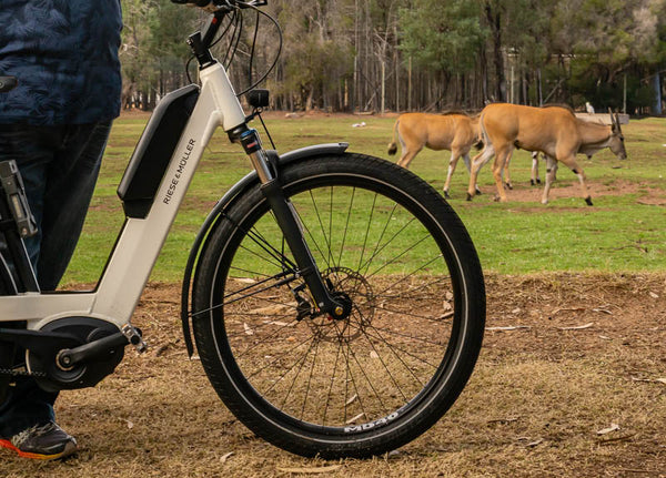 Central West Cycle Trail at Dubbo Zoo | Electric Bikes Brisbane